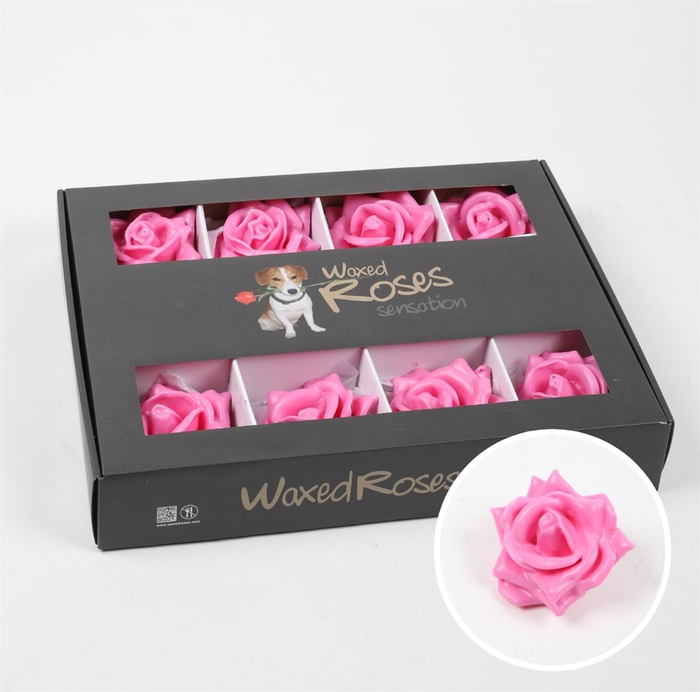 <h4>R Zijde Wx (bl)roze</h4>