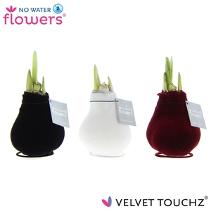 No Water Flowers Velvet Touchz® Classic mix