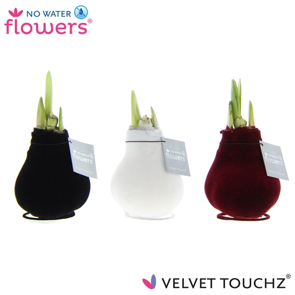 <h4>No Water Flowers Velvet Touchz® Classic mix</h4>