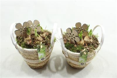 <h4>1228 Touwmand Wit</h4>