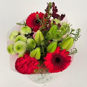 Bq Volume Voltage Red S