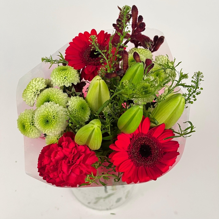 <h4>Bq Volume Voltage Red S</h4>