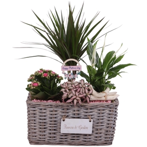 Mothersday Arr. Indoor Willow Basket Flowersign Ø30cm 4PP