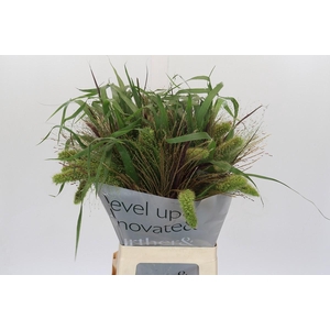 Grasses mix in bucket