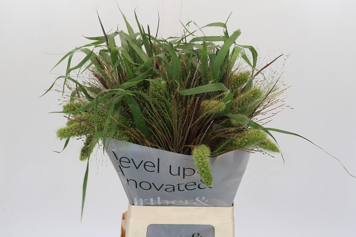 Grasses mix in bucket