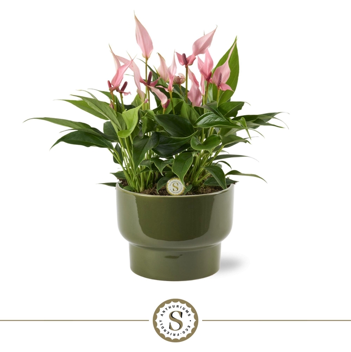 <h4>Athene Keramiek Green - Lilli</h4>