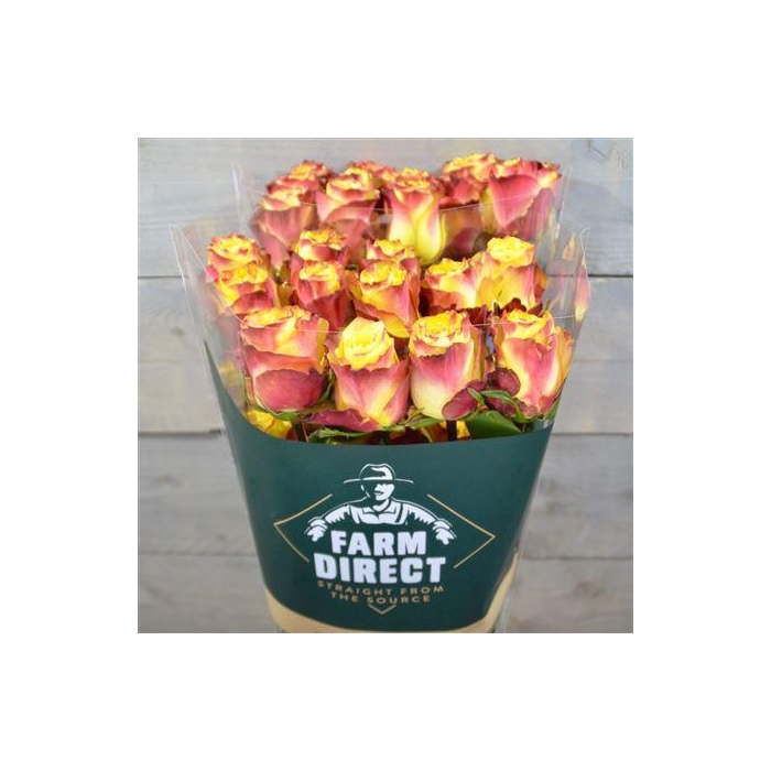 <h4>R Gr News Flash</h4>