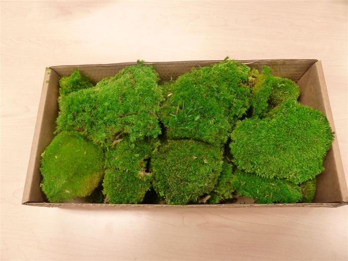 Polemoss Green 2,5 Kg Bulk