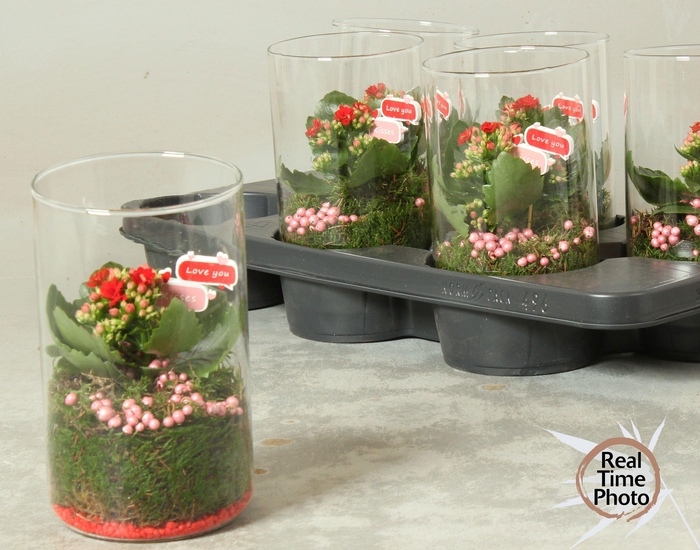 <h4>ARR KAMERPL</h4>