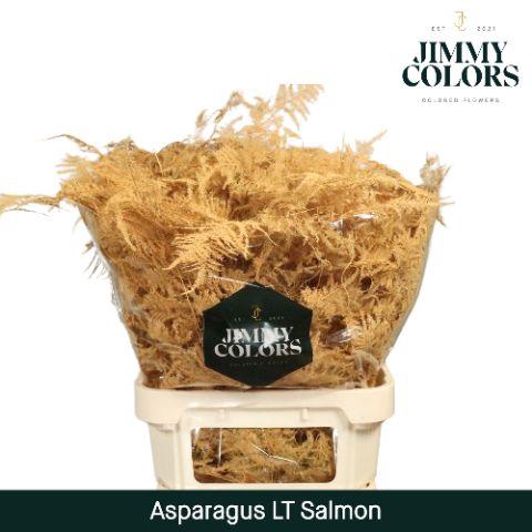 <h4>Asp lang getopt Salmon</h4>