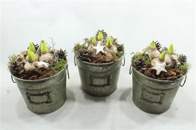 <h4>HY257 ZINK HOOG HYA</h4>