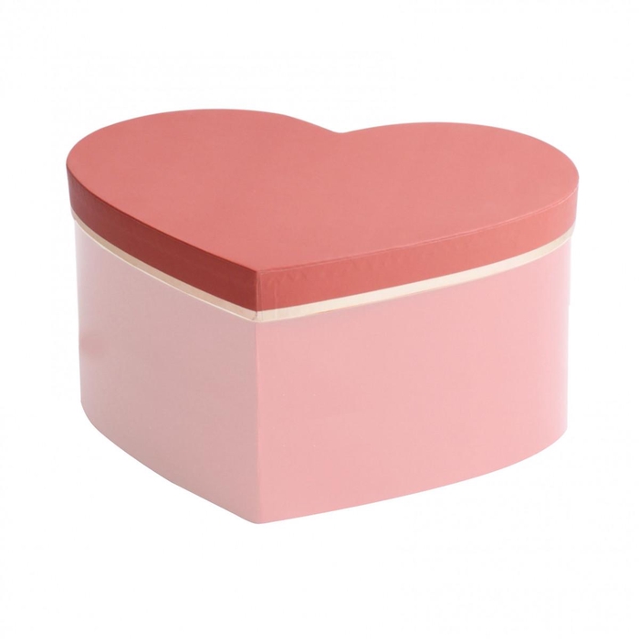 <h4>Valentijn Hatbox hart 20*25*10cm</h4>