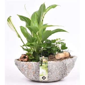 Cement kano old look 25x10cm