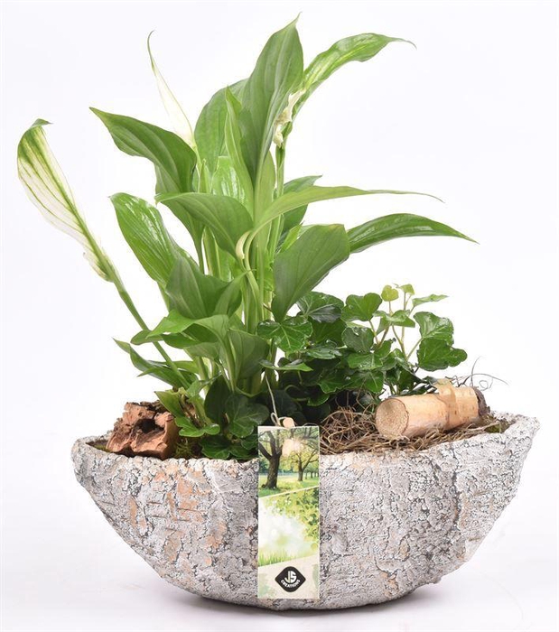 <h4>Cement kano old look 25x10cm</h4>