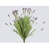 LAVANDULA CORTE 040 CM