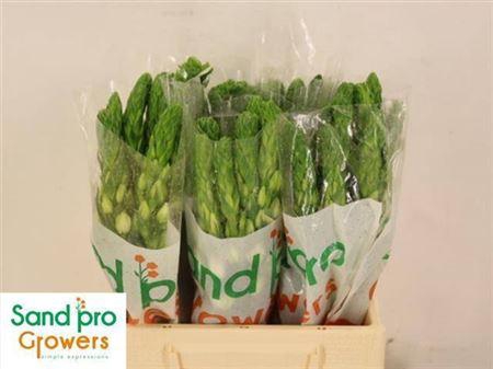 <h4>Ornit Thy Milky Way</h4>