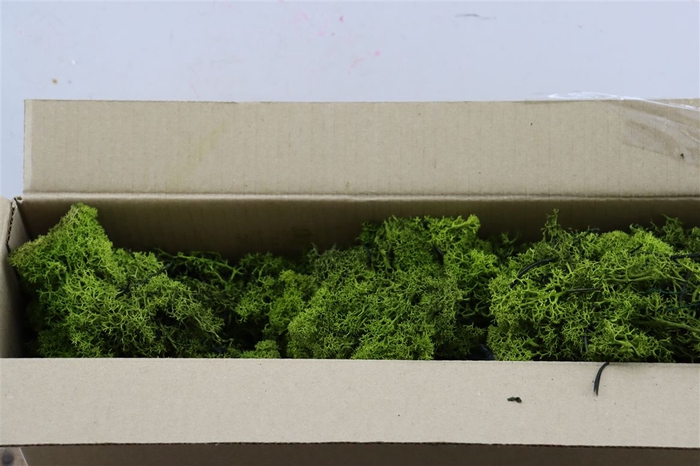 Mos Reindeer Moss Moss Green 450gr