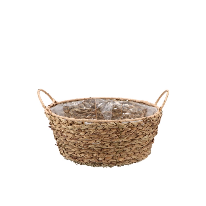 <h4>Seagrass Levi Bowl Basket Natural 26x11cm</h4>