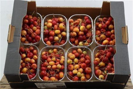 <h4>MALUS PER BAK OV</h4>