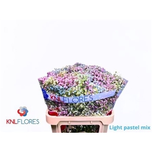Gyps Klb H% Light Pastel Mix