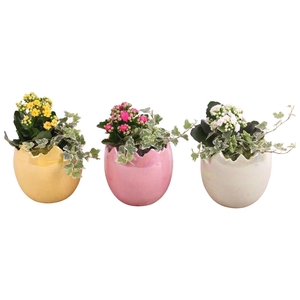 Easter Arr. Indoor Ceramic Egg Pearl Glazed Ø14cm 2PP