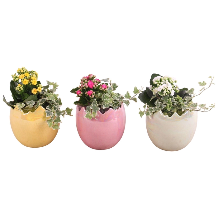 <h4>Easter Arr. Indoor Ceramic Egg Pearl Glazed Ø14cm 2PP</h4>