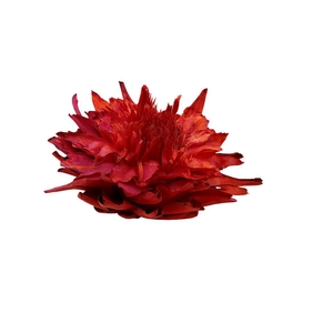 Dried Artz Cynara Heads Monet