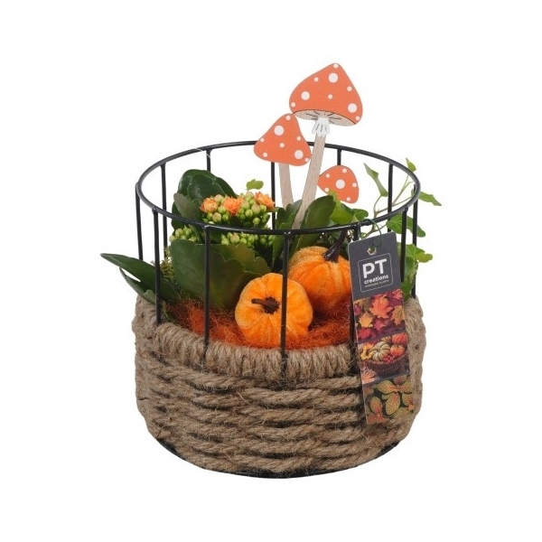 <h4>PTHI5443 Arrangement Herfst Indoor in touw mand met metaal</h4>