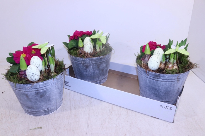 <h4>ARR TUINPLANTEN</h4>