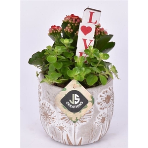 Cement pot bloemdecor 11,5cm