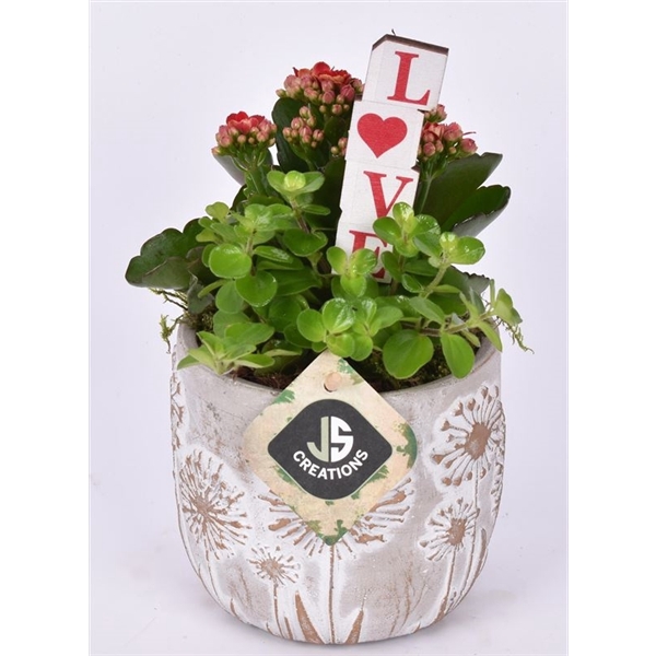 <h4>Cement pot bloemdecor 11,5cm</h4>