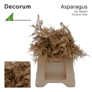 Asp 1e veren Antique gold