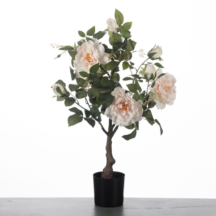 <h4>AF Rosa in pot H75cm L.Pink</h4>