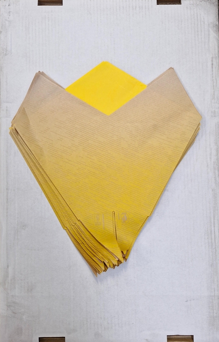 <h4>HOEZEN V BLOEMEN H%</h4>