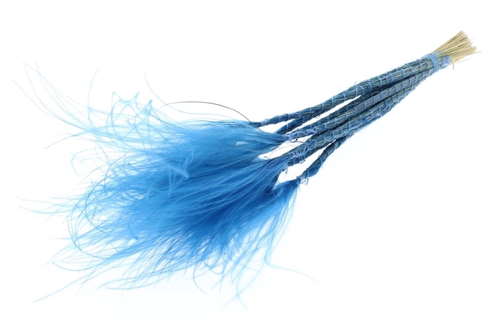 Stypha Penata 10 Tufts Per Bunch Dark Blue