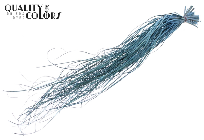 <h4>Droogbloemen   ...bewerkt H%</h4>