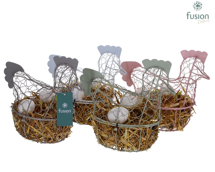 <h4>Kip gaas 4 kleuren Pasen met Narcissus</h4>