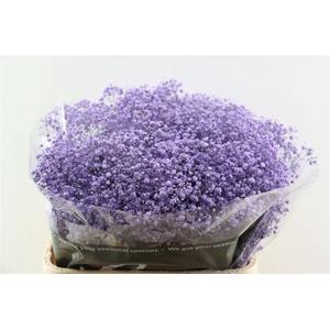 Gyps Grof Milka (dip)