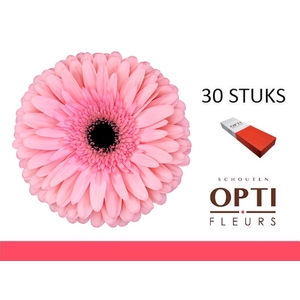 GE GR ESTRELLA-Doosx30