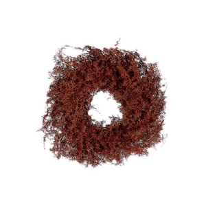 Wreath Asparagus D20