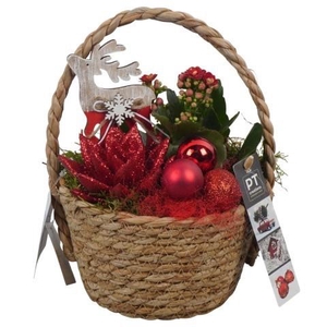 PTCHR7371 Arrangement Christmas Red in rieten mand