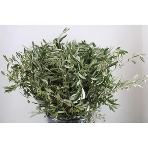 Olijf 400gr P Bunch