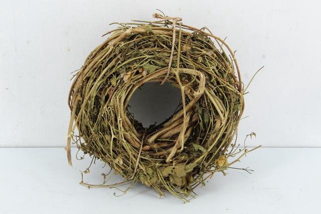 <h4>WREATH HOP BRANCHES</h4>