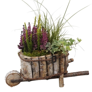 Arr.   Tuinplanten L%