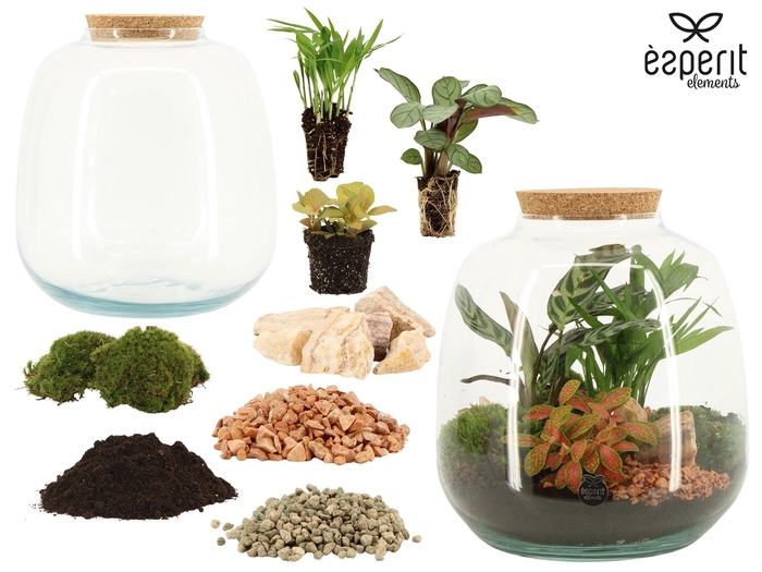 <h4>90865: DIY Terrarium arrangement</h4>