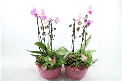 <h4>2448 ZINK ROZE CASCADE</h4>