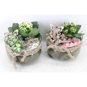 arr2 MB - Glas bose touw x6 - roze/wit