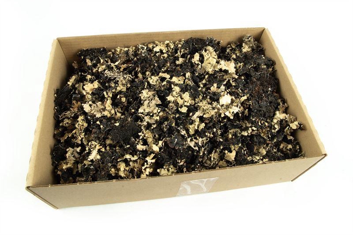 <h4>Musgo naturel250 gr</h4>