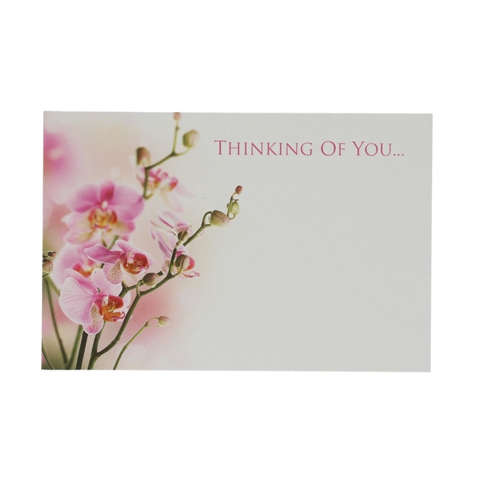<h4>Labels Cards 9*6cm x50 Thin.of You</h4>