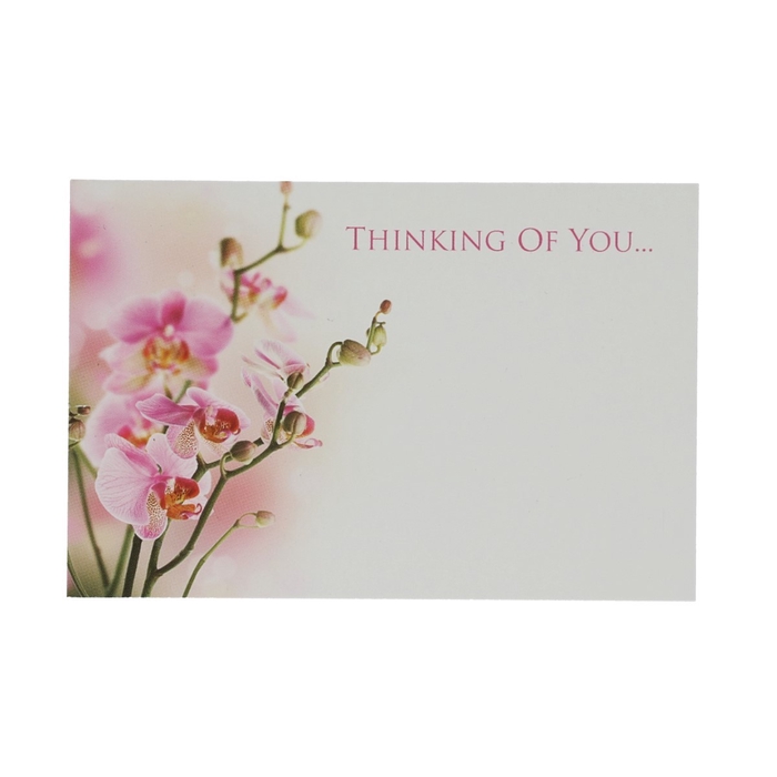 Labels Cards 9*6cm x50 Thin.of You